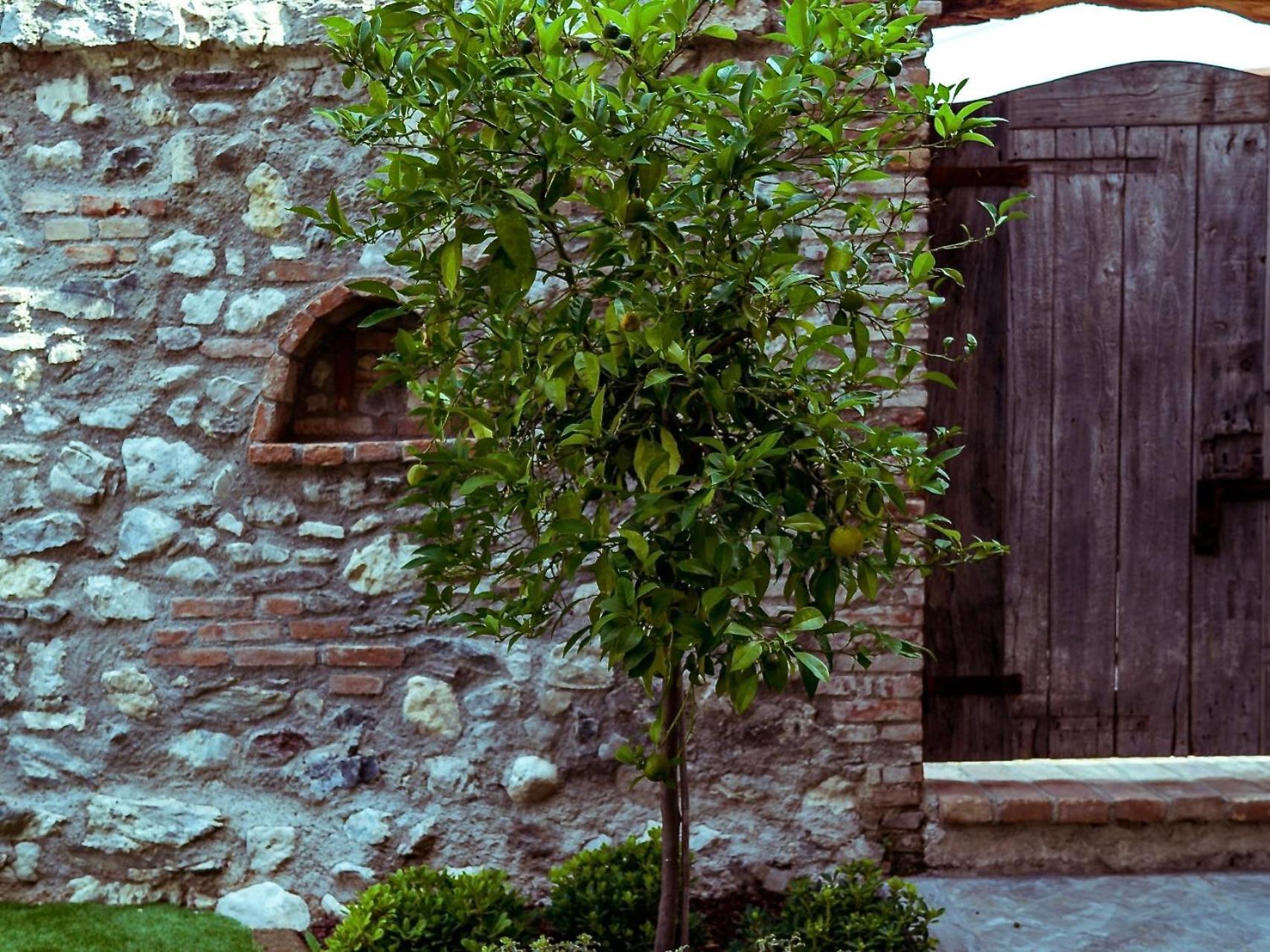 Villa Fontanelle Gardapartments 7 Polpenazze del Garda Esterno foto